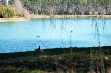 Lac Vert de Canejean (1).
